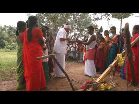 Coconut Special Micronutrient Fertilizers