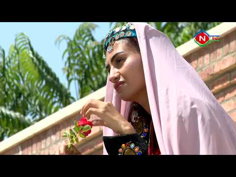 Duyğu yarpaqları - 28.06.2021