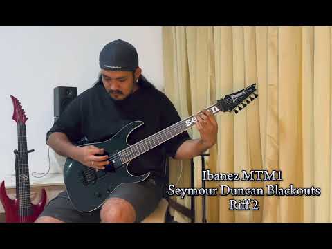 Seymour Duncan Emty Blackouts (Mick Thomson Signature Set) Bridge Pickup Vs EMG 81 Bridge Pickup