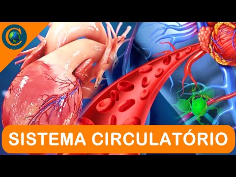 SISTEMA CIRCULATÓRIO
