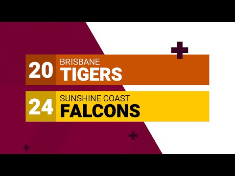 HostPlus Cup Round 18, 2022 - Tigers v Falcons