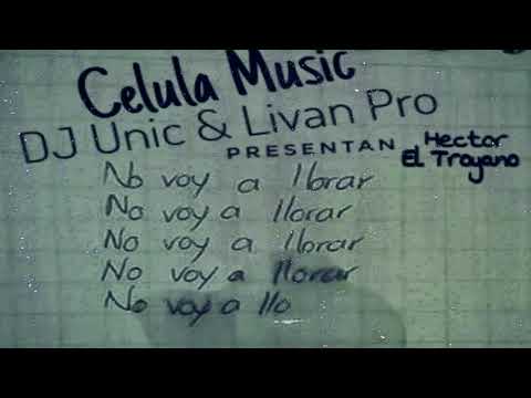 Hector El Troyano ft DJ Unic ft Livan Pro - Yo No Voy A Llorar (Audio Oficial)