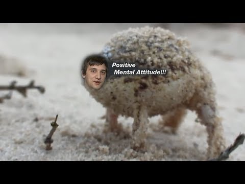 Arteezy The Positive Frog