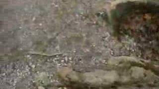 Athens, Greece　アテネ　ギリシア