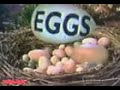 Let S Lay It An Egg