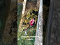 Guba Nga Hagdanan Yt Viral Trending Ytshorts Broken Staircase Beachlife Vacation Fun Short