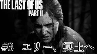 エリー、冥土へ 難易度GROUND 【THE LAST OF US PART2】#3