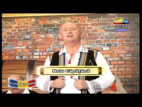 Nelu Capatina  De as muri de dor,de dor & Vantule de primavara