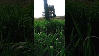 Download lagu 21 January 2026 mp3