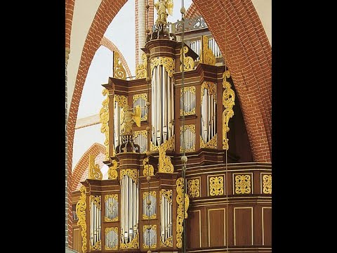 Heinrich Scheidemann - Benedicam Dominum - Cor van Wageningen - Schnitger Orgel Norden