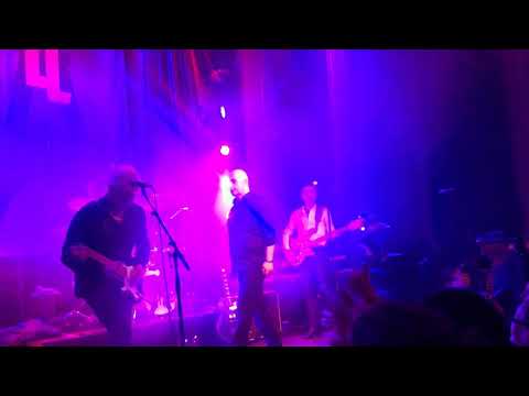 Lustans Lakejer - Läppar tiger ögon talar - live