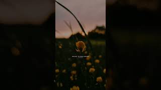 Download lagu KHUSHI JAB BHI TERI LYRICS - Jubin Nautiyal 🥺❤️. #jubinnautiyal #song #explore #status #aesthetic mp3 Download lagu KHUSHI JAB BHI TERI LYRICS - Jubin Nautiyal 🥺❤️. #jubinnautiyal #song #explore #status #aesthetic mp3