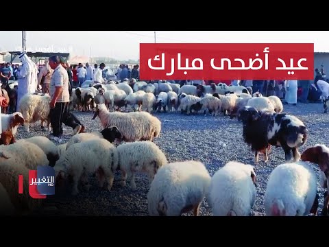 شاهد بالفيديو.. وثائقي عيد الأضحى المبارك