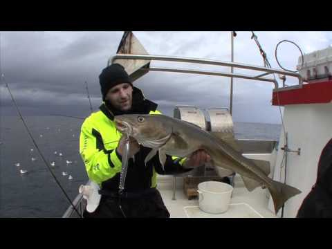 DVD-Trailer "Meeresangeln" (2010)