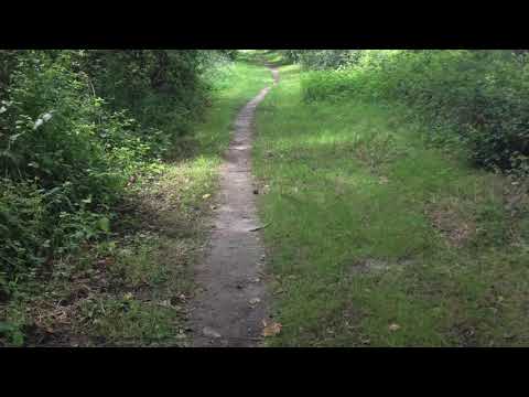 Trog mi Wind (Christian Dreo)