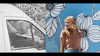 Gabby Petito Van Footage Quick Analysis. Is that Brian in Window?