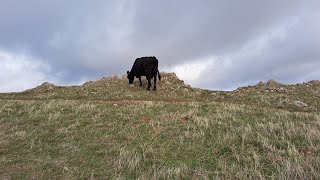 Wanna Be Free-Accept