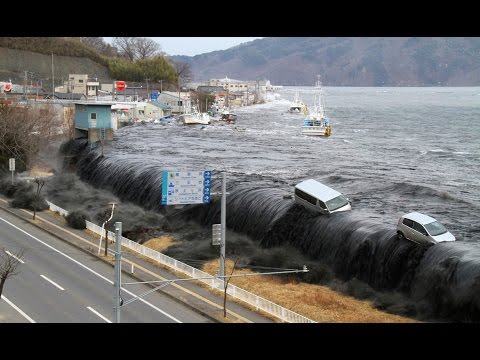 Tsunami: A Wave of Destruction