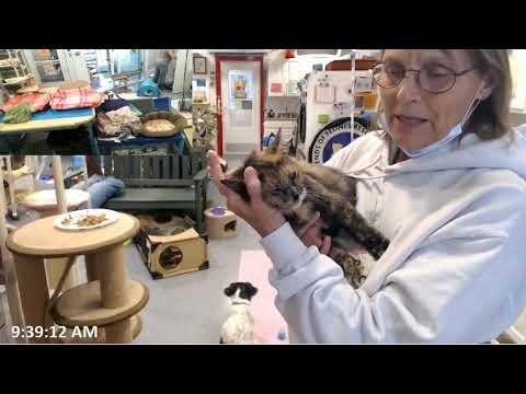 FFRC Pre-Adoption of Josette on 5/11/2020 (Official adoption date 5/14/2020)