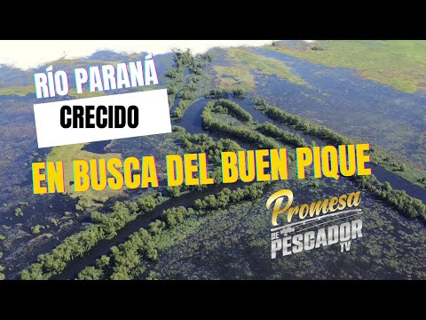 Creciente en el río Paraná, arroyo Las Cañas, San Javier, Santa Fe.  Con @cristianstukyprofishing