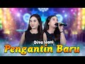 Pengantin Baru Diva Hani Sofiani Music