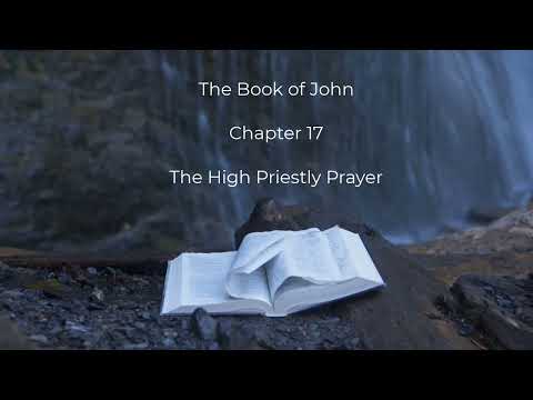 The Book of John - Chapter 17  - The High Priestly Prayer