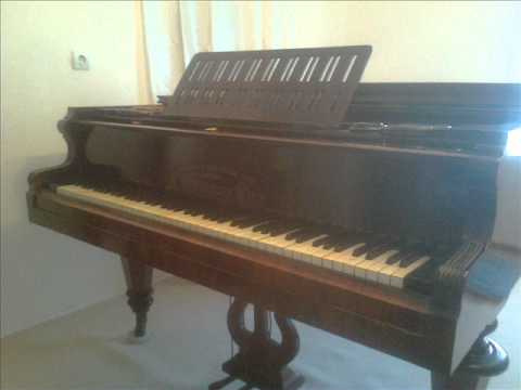 Beethoven - Fur Elise - on A. Neuburger piano, 1898 Wien