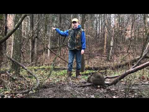 Another day on the trapline how to reset a trap after catch