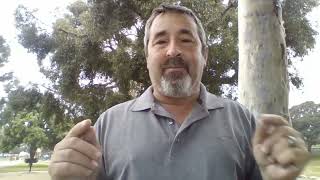 SFL - We Lost.  Conservatives lost public schools.