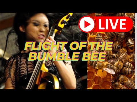 Tina Guo and Christine Utomo Rehearsal - Super Fast Flight of the Bumble Bee 2009