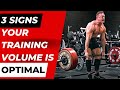 3 Signs Your Training Volume is Set Correctly | Workout Vlog Powerbuilding
