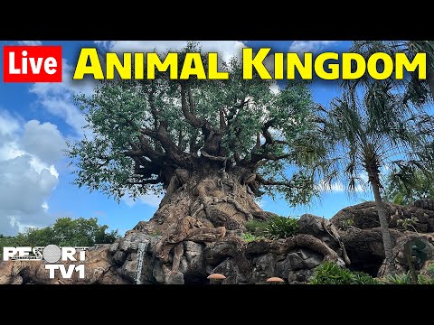🔴Live: Magical Monday at Animal Kingdom - Animals, Shopping, & More - Walt Disney World Live Stream