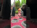 FLOOR iS LAVA!! 🌋  Fairy Adley has to ESCAPE PiRATE iSLAND without getting trapped in the VOLCANO
