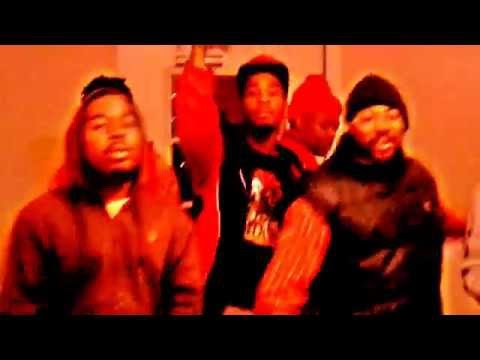 YP WAYGER 56 NIGHTS FREESTYLE