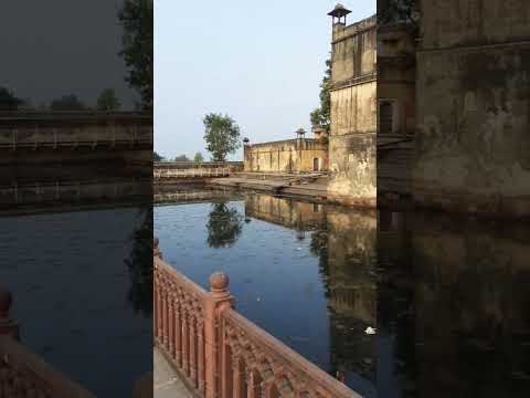 #padmavati #bgm #deepikapadukone #sahidkapoor #raveersingh #shorts #viralvideo