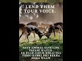 Wildlife Scenery Wildlife Video Animals Video Best Animals Compilation 2021 Forest Animals Video