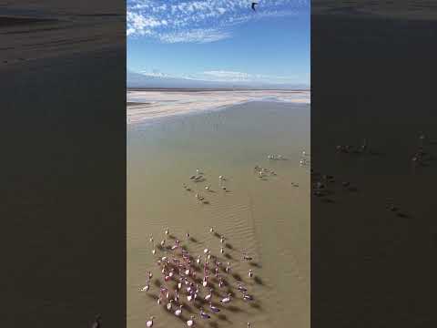 #sanpedrodeatacama #antofagasta #chile 20/09/26