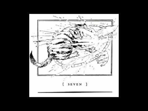 Let's Read: The Celery Stalks At Midnight (Bunnicula Book #3) - Chapter Seven