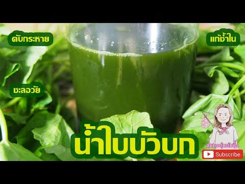 คลิกเพื่อดูคลิปวิดีโอ