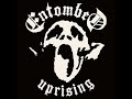 Entombed  Something Out of Nothing