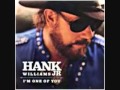 Hank Williams Jr - Liquor To Like Her