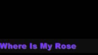 NLT - Where Is My Rose?