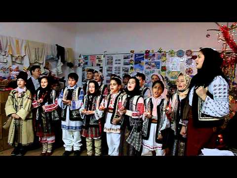 serban georgiana grupul"Dumbravioara"