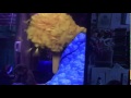 Big Bird Sleeping In Episode 4279