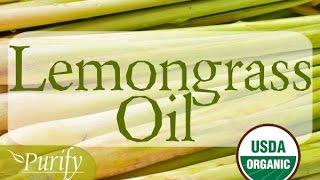 Lemongrass Essential Oil ~ All You Ever Need to Know
