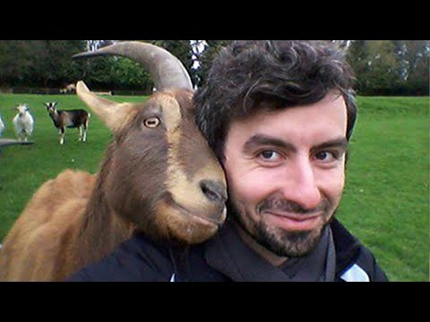 Quand les animaux sont toujours excités de voir leur meilleur ami humain | cute animal videos