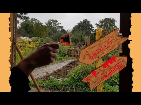 Spalier des Grauens / Neue Brombeeren / Lilie Potter