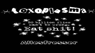 Toxoplasma - Spielen ihre Lieder - Allesfresser - Live