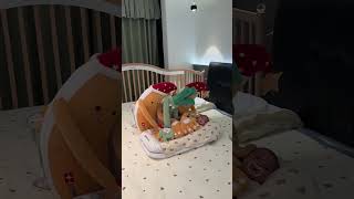 Product Link in Bio ( # 3341  ) 🔔 Cuddle Sprout Baby Sleep Hugging Pillow