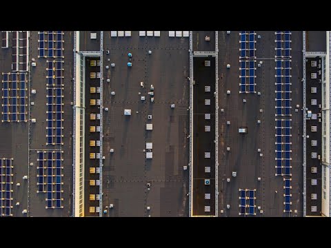 eXbee - Momentum (short version)